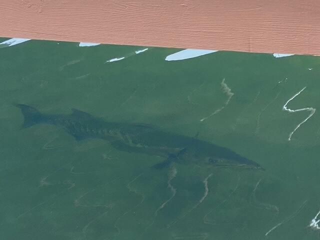 406 S Coconut Palm Boulevard, Tavernier, FL 33070 Photo