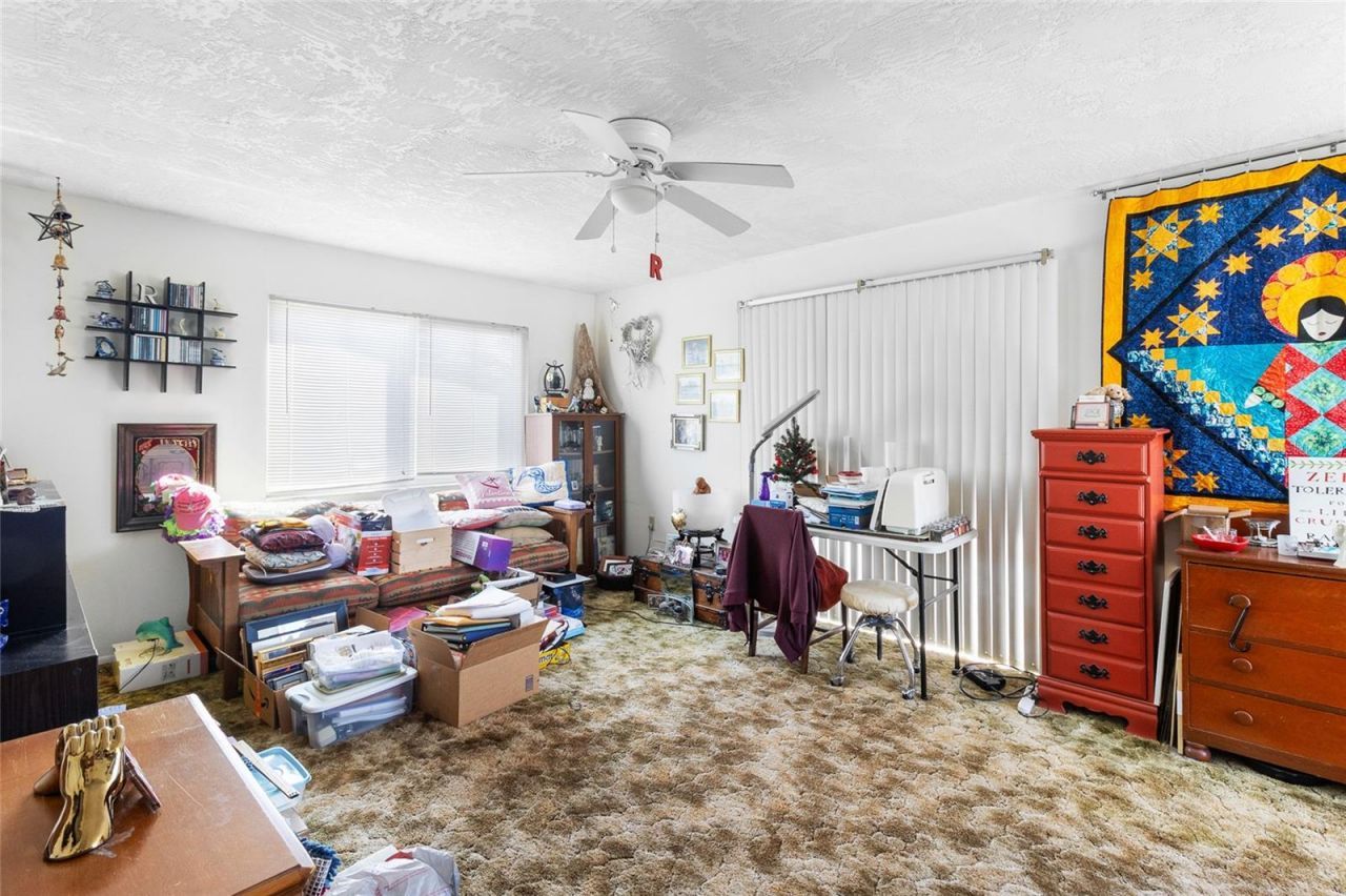 3900 70th Street N, Saint Petersburg, FL 33709 Photo