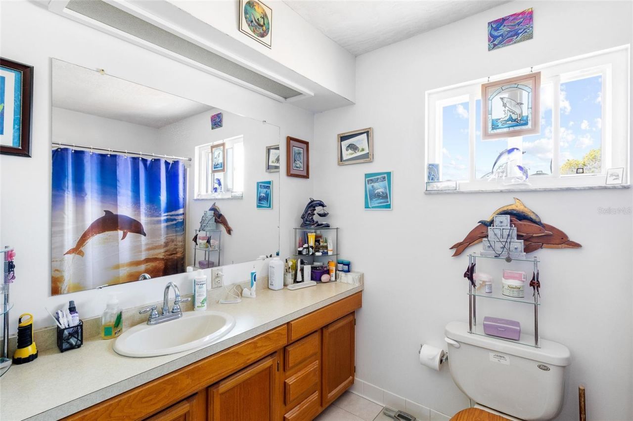 3900 70th Street N, Saint Petersburg, FL 33709 Photo