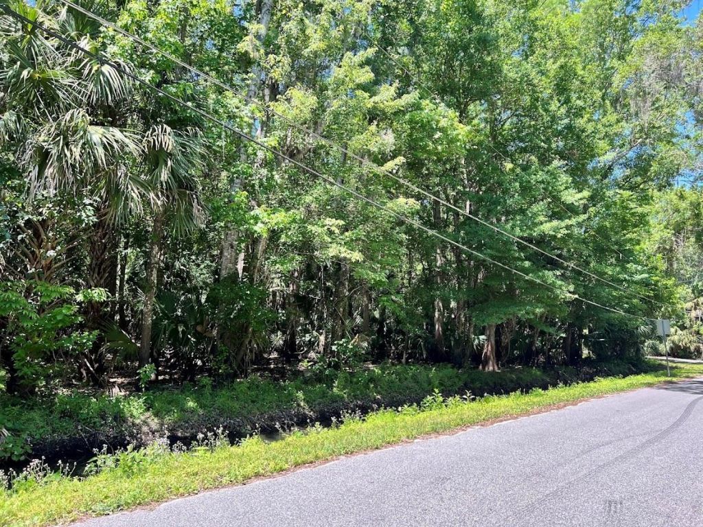 379 N Jungle Road, Geneva, FL 32732 Main Photo