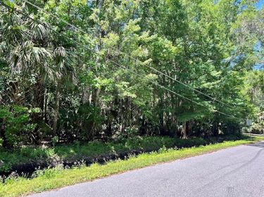 379 N JUNGLE ROAD, GENEVA, FL 32732