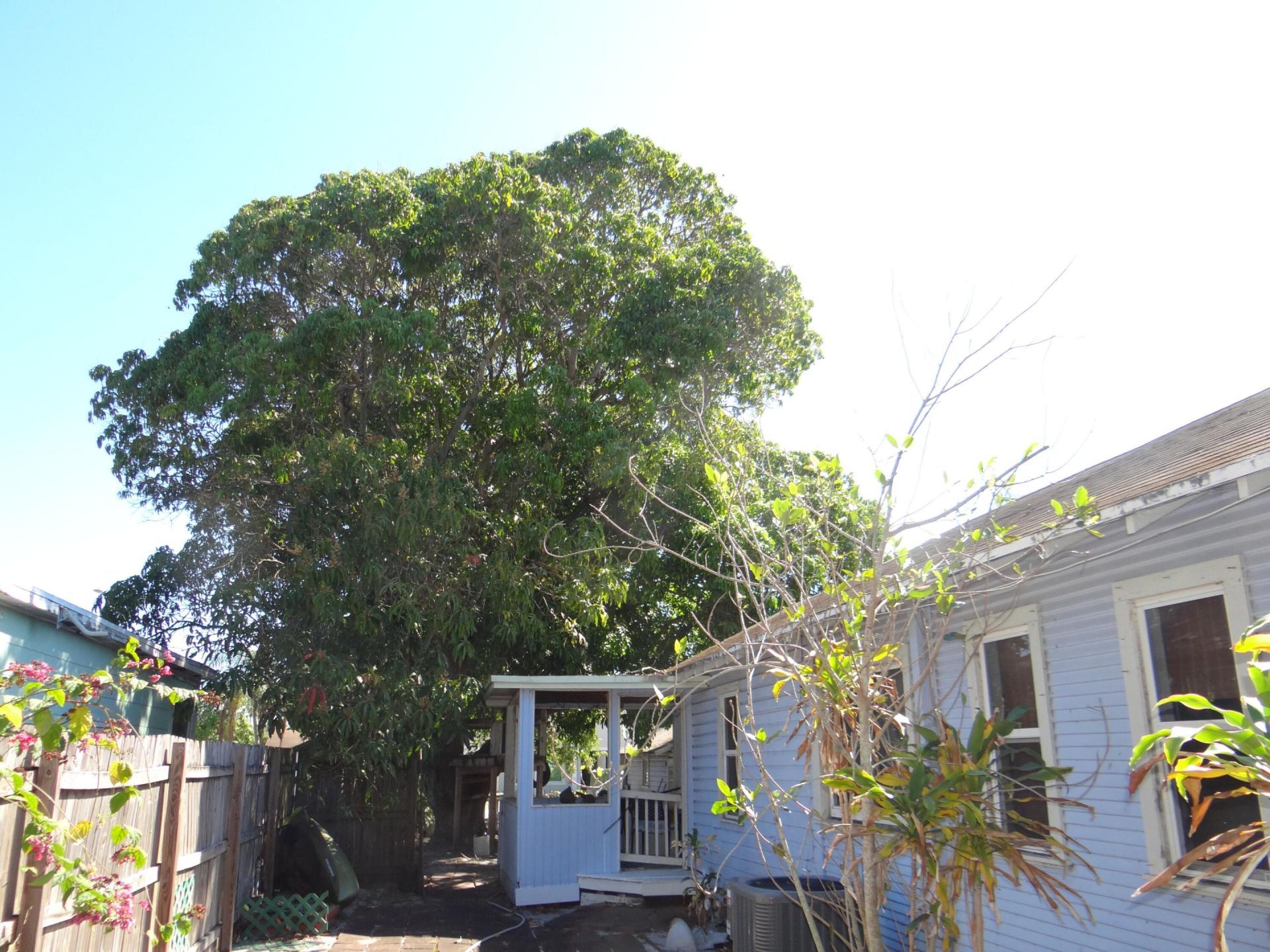 611 N E Street, Lake Worth Beach, FL 33460 Photo