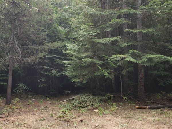 80 E Ridge Dr., St. Maries, ID 83861