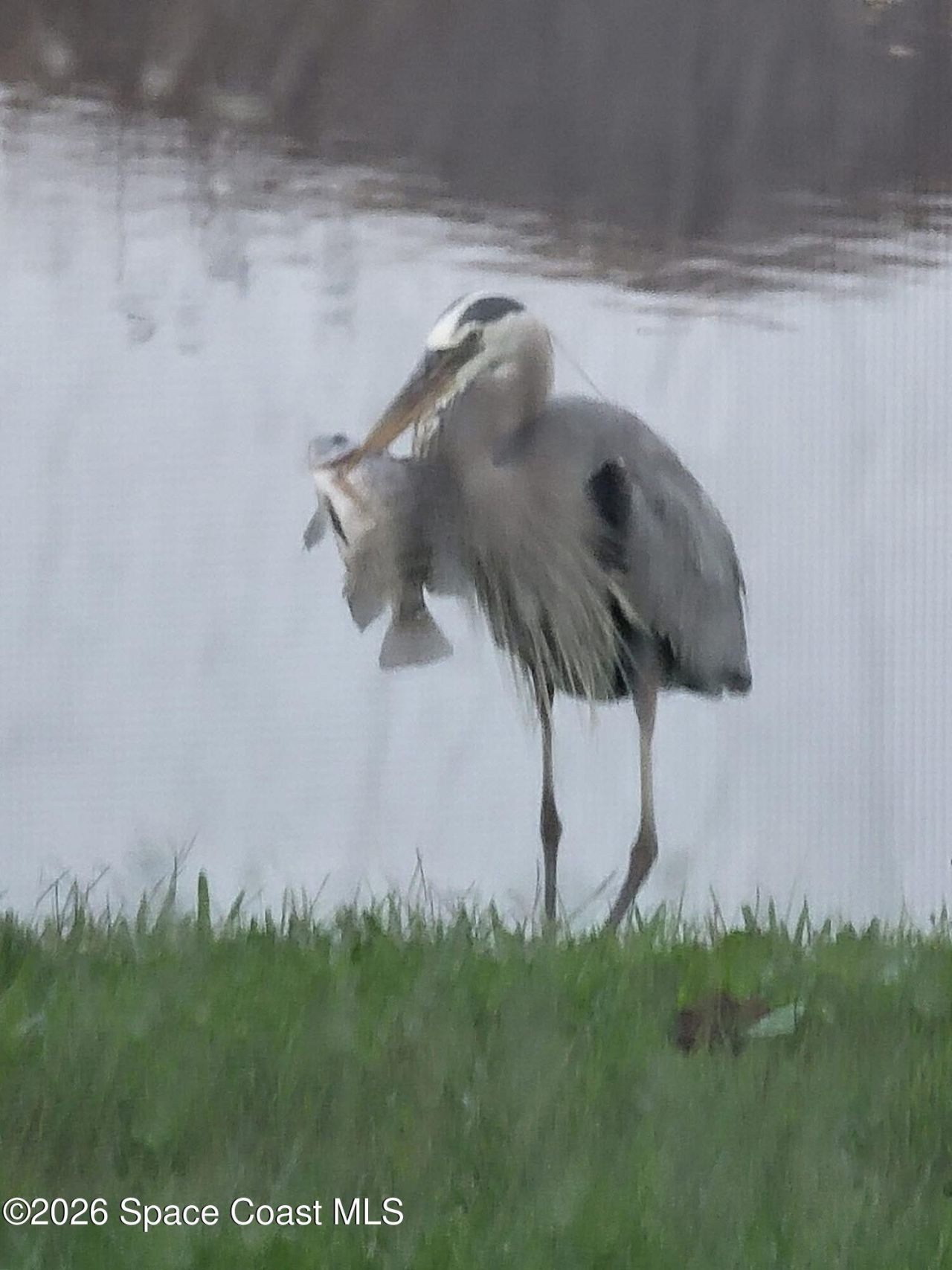 12127 SW Jasper Lake Way , Port Saint Lucie, FL 34987 Photo