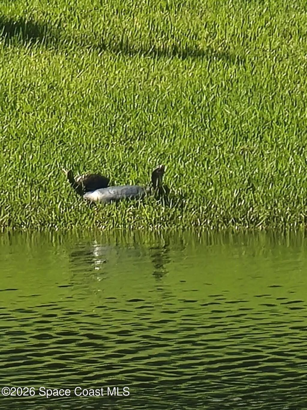 12127 SW Jasper Lake Way, Port Saint Lucie, FL 34987 Photo