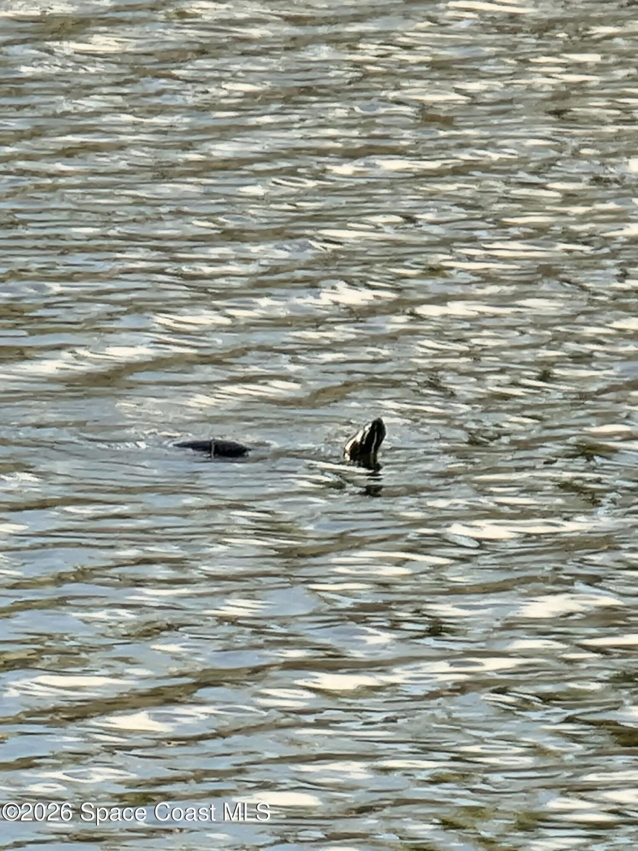 12127 SW Jasper Lake Way, Port Saint Lucie, FL 34987 Photo