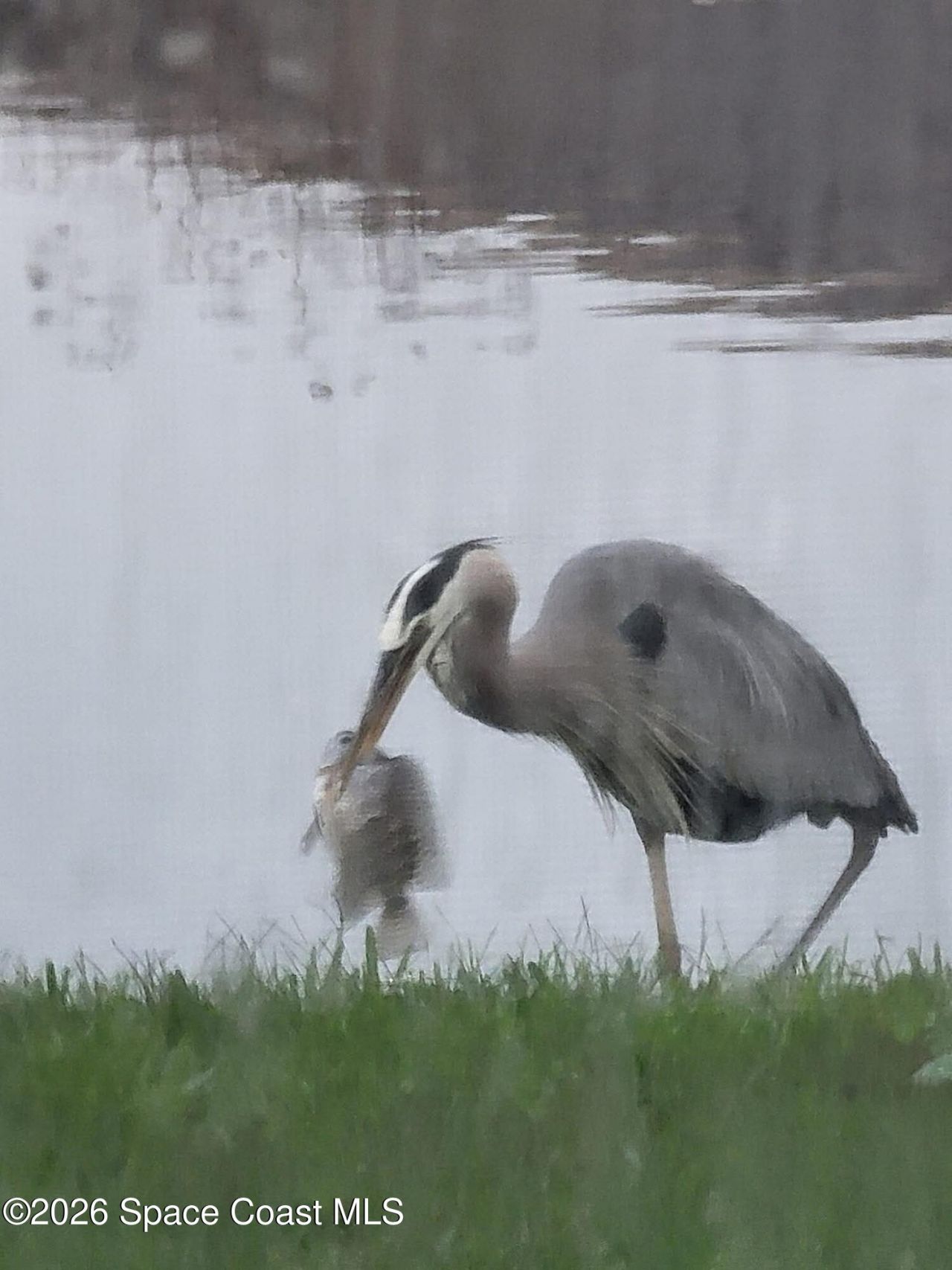 12127 SW Jasper Lake Way , Port Saint Lucie, FL 34987 Photo