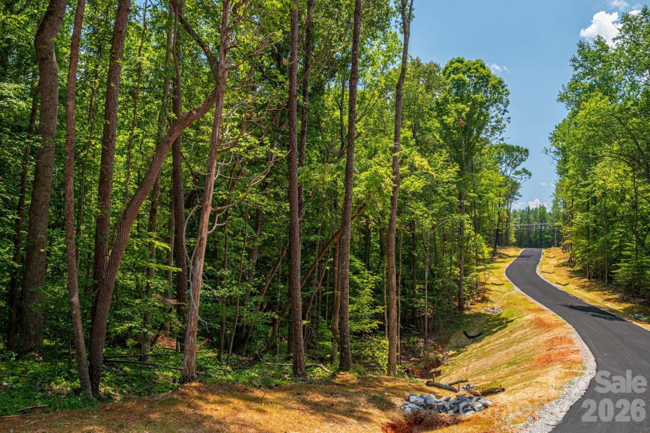 00 Oak Hill Court, Denver, NC 28037 Main Photo