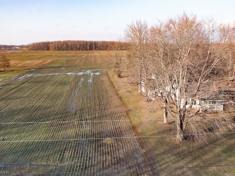 40260 Whitney Road, Lagrange, OH 44050 Photo 3