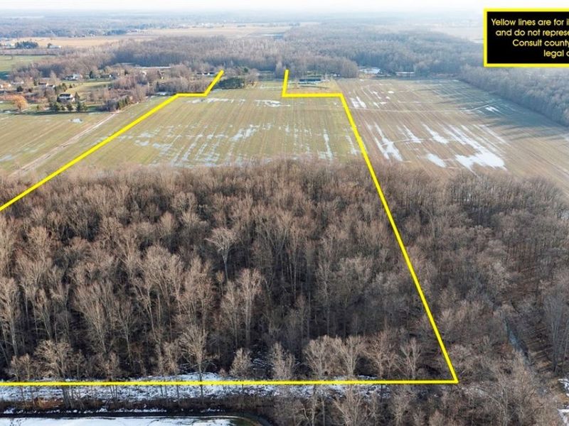 40260 Whitney Road, Lagrange, OH 44050 Photo 5