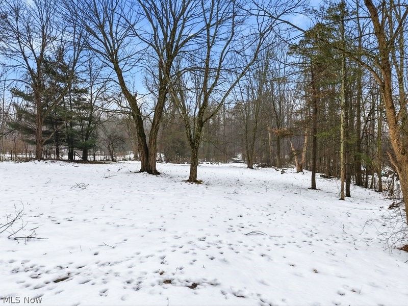 1144 Nesbitt Road, Northfield, OH 44067 Photo 41