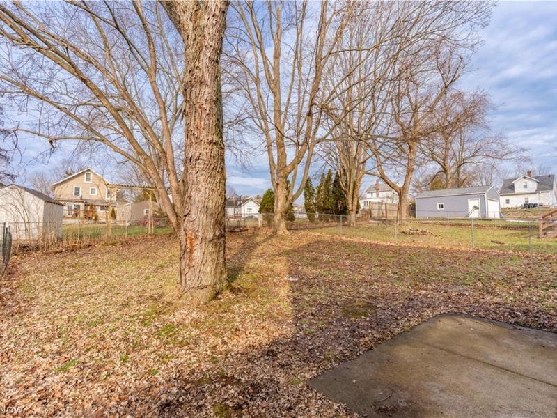 572 Cora Avenue, Akron, OH 44312 Photo 24