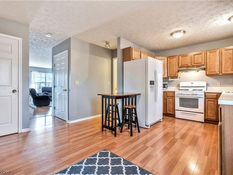 572 Cora Avenue, Akron, OH 44312 Photo 7