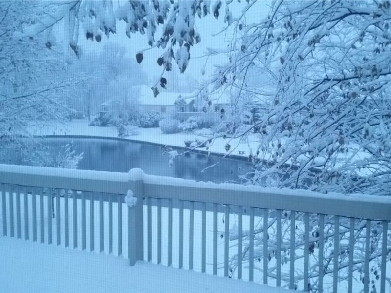 4624 Deer Creek Drive, Wooster, OH 44691 Photo 41