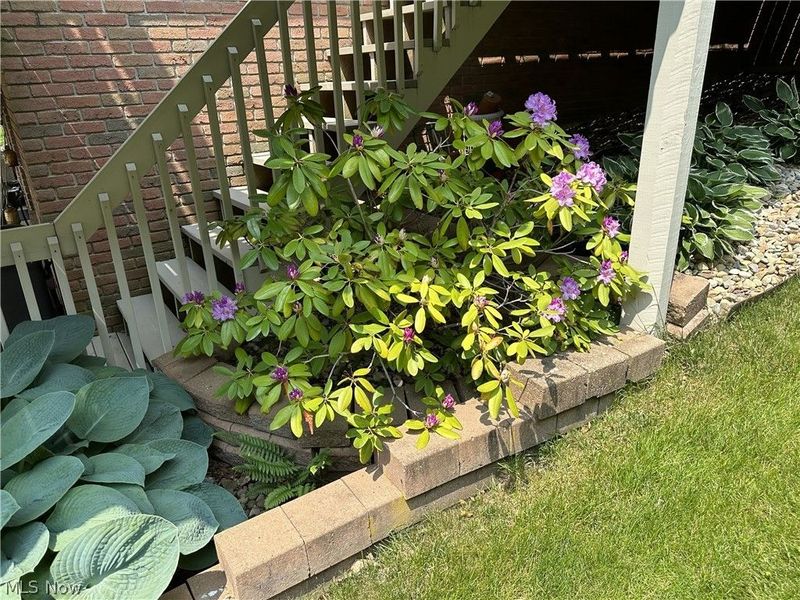 4624 Deer Creek Drive, Wooster, OH 44691 Photo 43