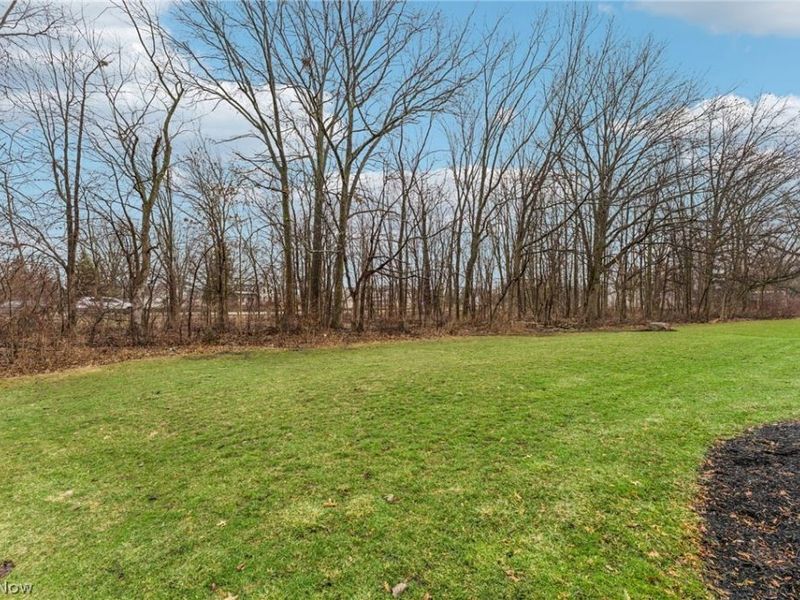 38880 Amberwood Drive, Avon, OH 44011 Photo 38