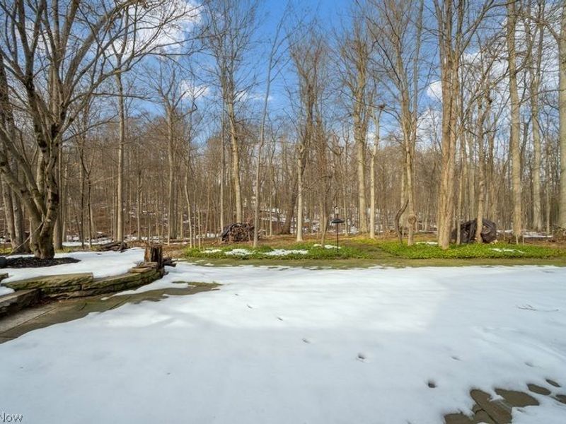 31599 Trillium Trail, Cleveland, OH 44124 Photo 35