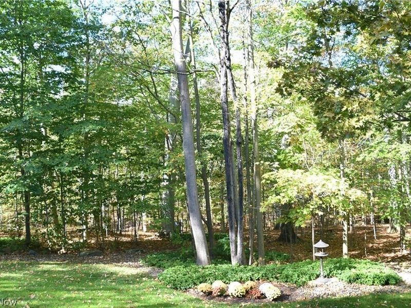 31599 Trillium Trail, Cleveland, OH 44124 Photo 41