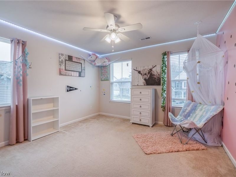 165 Lakeland Way, Aurora, OH 44202 Photo 27