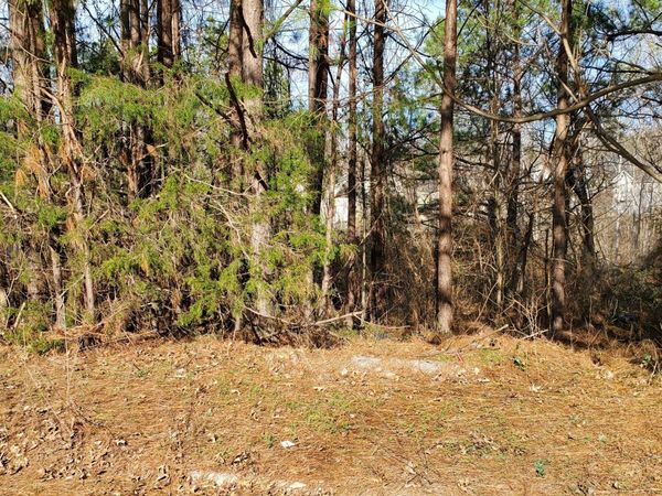 4301 Marci Street, Snellville, GA 30039