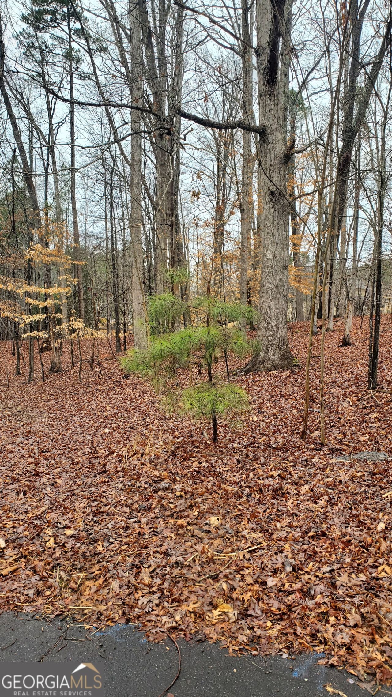 5578 Stone Trace, Gainesville, GA 30504 Main Photo