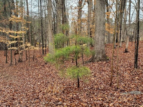 5578 Stone Trace, Gainesville, GA 30504