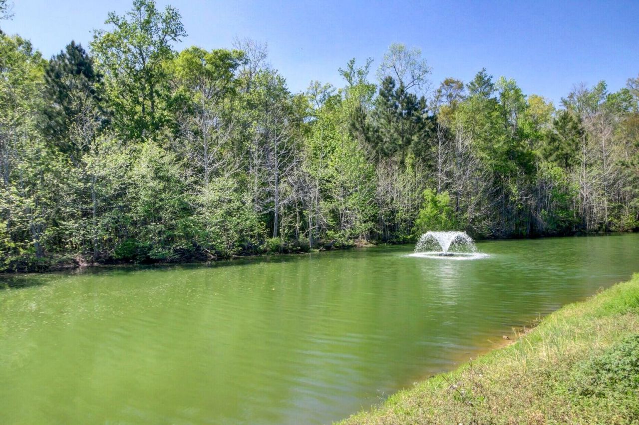 3630 Pimmit Place Photo 36