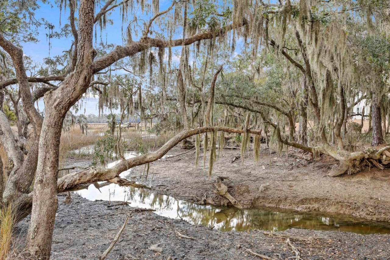 1242 Brackish Court Photo 46