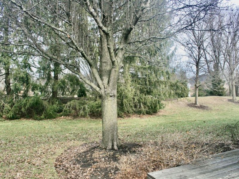 98 Bedles, South Lebanon, OH 45065 Photo 21