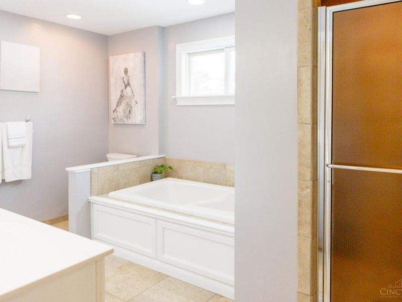 732 Wooster Pike, Terrace Park, OH 45174 Photo 19