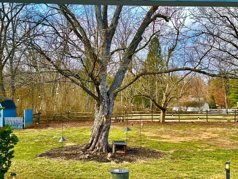 732 Wooster Pike, Terrace Park, OH 45174 Photo 34