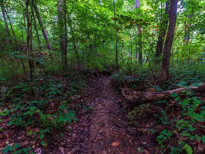 321 Red Bridge Road, Benton Twp, OH 45660 Photo 12