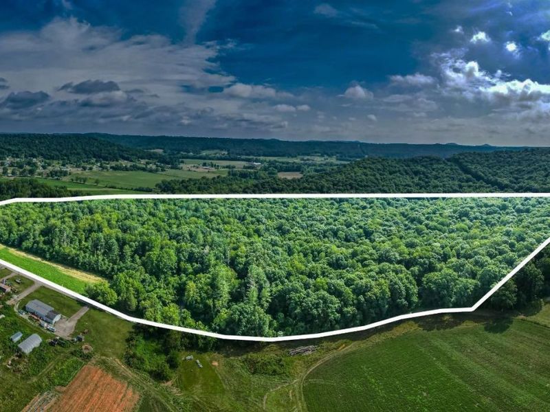 321 Red Bridge Road, Benton Twp, OH 45660 Photo 2