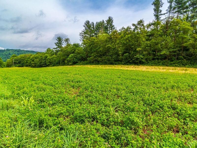 321 Red Bridge Road, Benton Twp, OH 45660 Photo 4