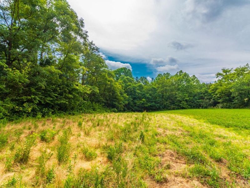 321 Red Bridge Road, Benton Twp, OH 45660 Photo 5