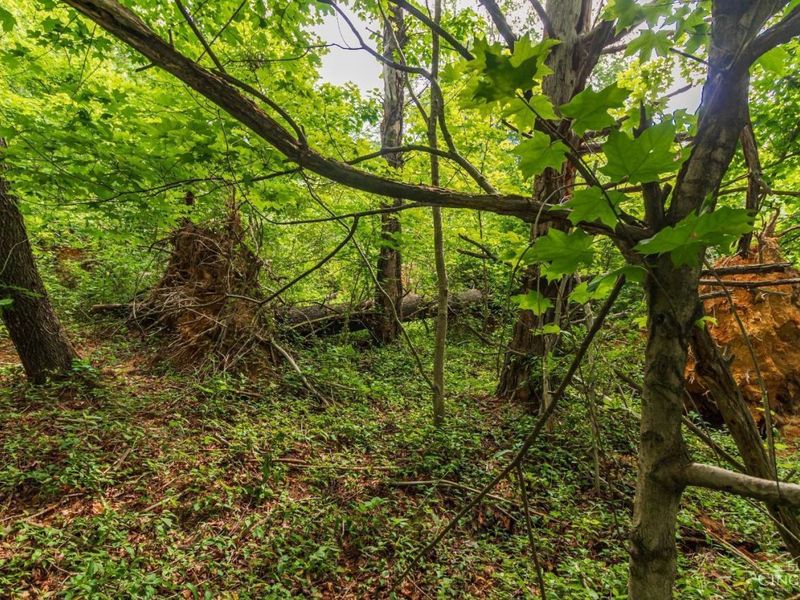 321 Red Bridge Road, Benton Twp, OH 45660 Photo 6