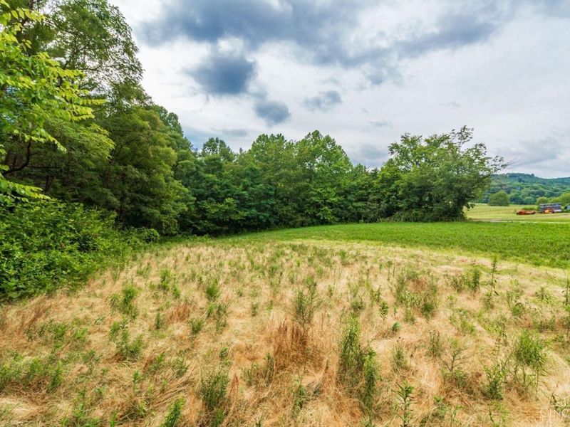 321 Red Bridge Road, Benton Twp, OH 45660 Photo 7