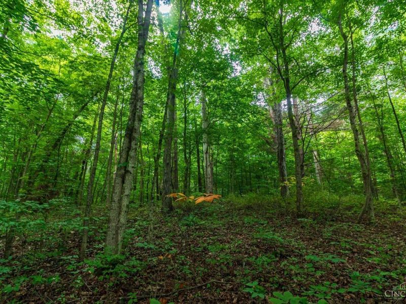 321 Red Bridge Road, Benton Twp, OH 45660 Photo 9