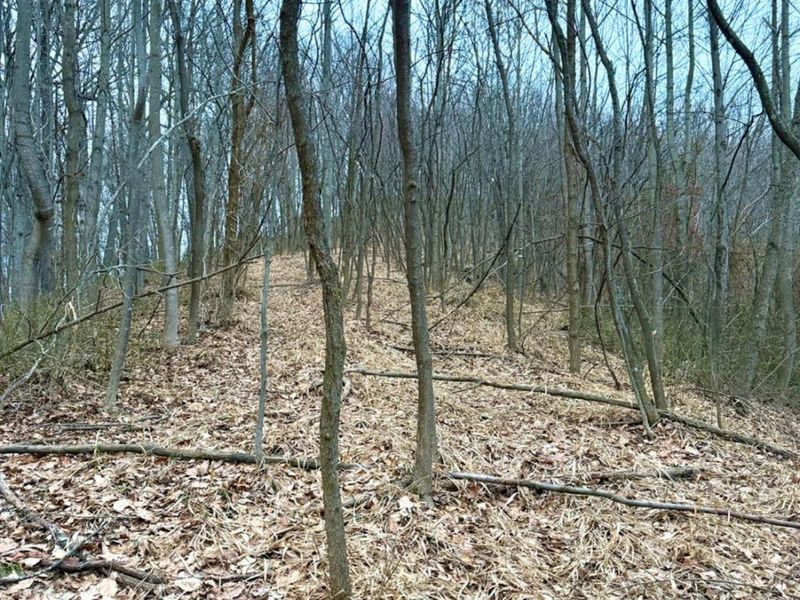 0 Straight Creek Road, Jackson Twp, OH 45613 Photo 11