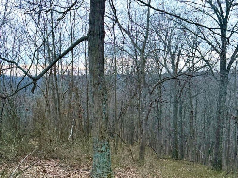 0 Straight Creek Road, Jackson Twp, OH 45613 Photo 15