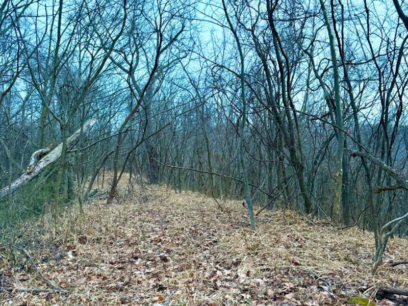 0 Straight Creek Road, Jackson Twp, OH 45613 Photo 17