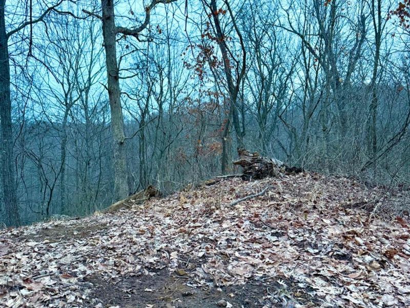 0 Straight Creek Road, Jackson Twp, OH 45613 Photo 17