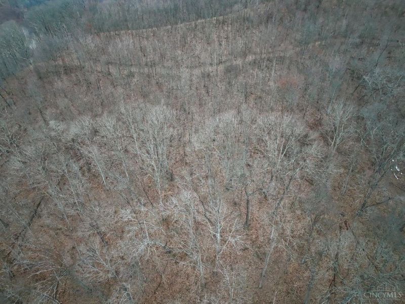 0 Straight Creek Road, Jackson Twp, OH 45613 Photo 20
