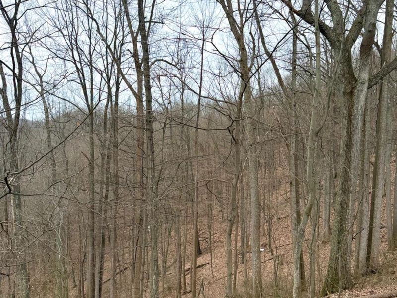 0 Straight Creek Road, Jackson Twp, OH 45613 Photo 24