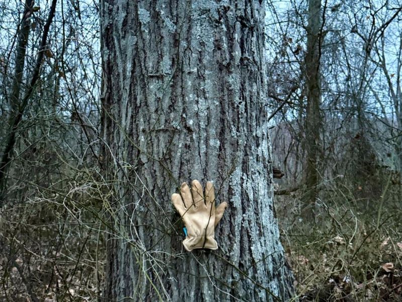 0 Straight Creek Road, Jackson Twp, OH 45613 Photo 24