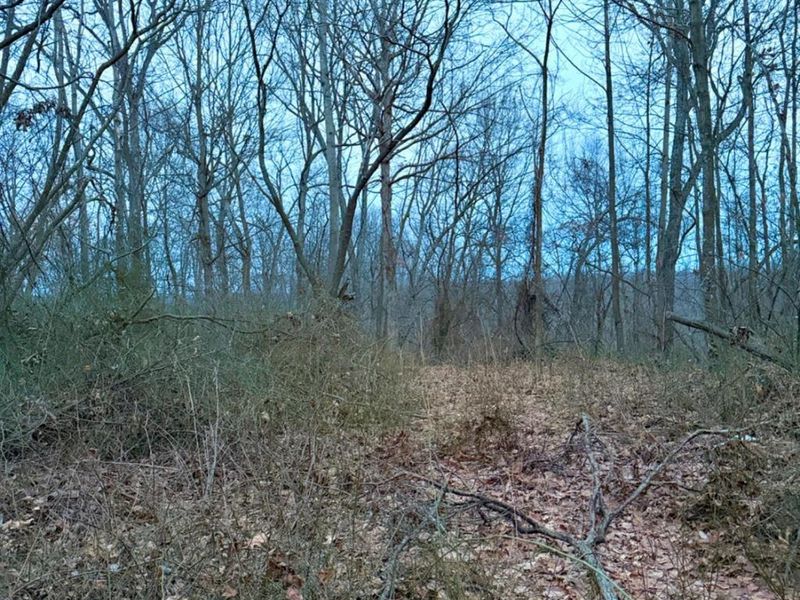 0 Straight Creek Road, Jackson Twp, OH 45613 Photo 27