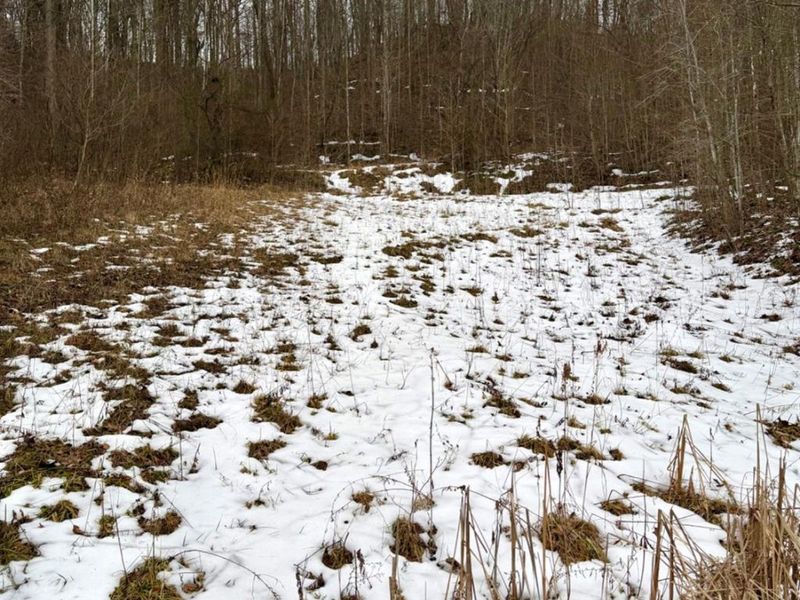 0 Straight Creek Road, Jackson Twp, OH 45613 Photo 28