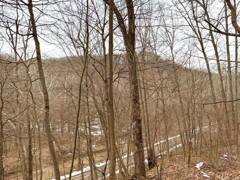 0 Straight Creek Road, Jackson Twp, OH 45613 Photo 29