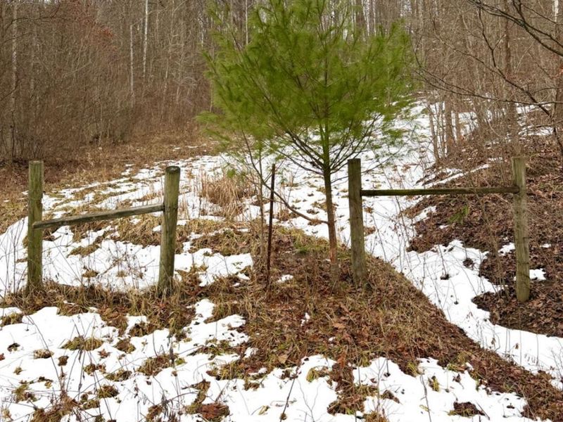 0 Straight Creek Road, Jackson Twp, OH 45613 Photo 30