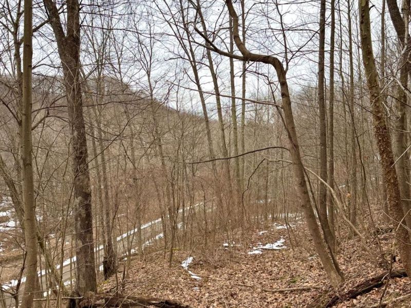 0 Straight Creek Road, Jackson Twp, OH 45613 Photo 31